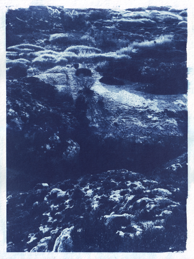 Cyanotype_Sans titre_2017_MG_6299-Modifier-2.jpg en taille normale